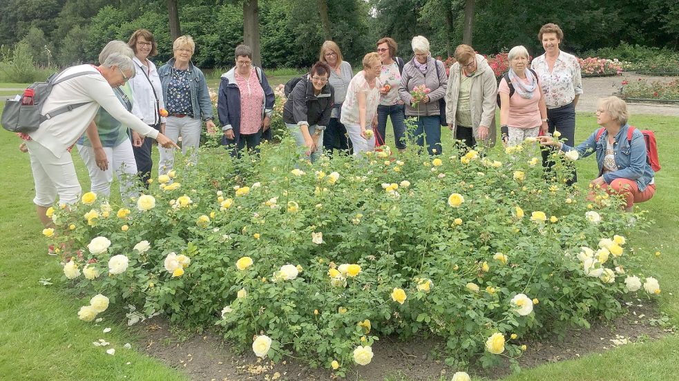 Einen Ausflug nach Winschoten hat der Kreislandfrauenverband Leer vergangene Woche angeboten. Viele Frauen aus den hiesigen Ortsvereinen machten mit und besuchten das Rosarium. Foto: Privat/Antje de Vries