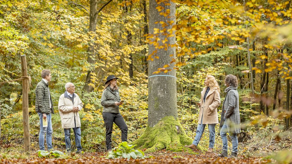 Bei einer Waldführung beantworten die FriedWald-Försterinnen und -Förster alle Fragen zur Baumbestattung.