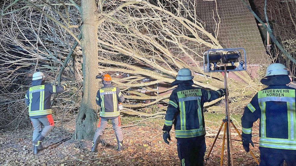 Mit Kettensägen zerlegten die Einsatzkräfte die sperrigen Teile eines Baumes, der auf ein Hausdach gestürzt war.