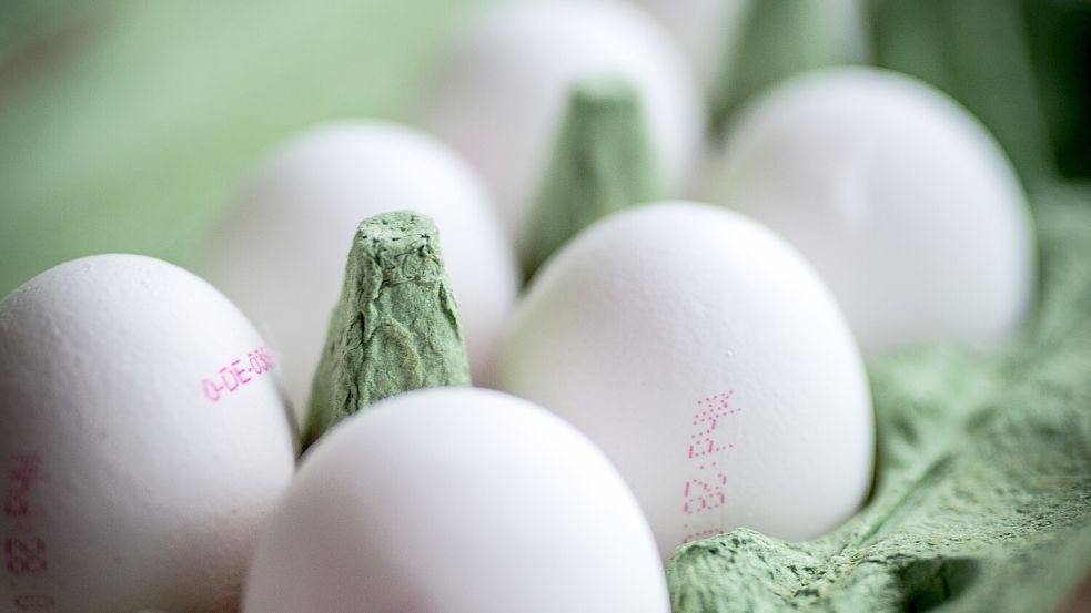 Besonders gut zum Färben und Bemalen eignen sich Eier mit weißer glatter Schale. Foto: Ehrecke/Landwirtschaftskammer Niedersachsen