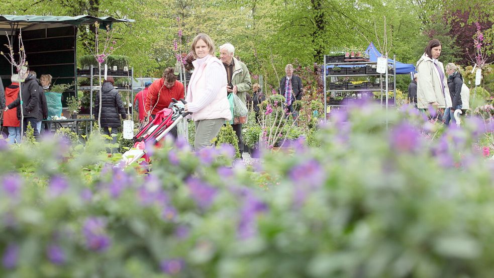 Wiesmoor ist für seinen Blumenmarkt (Foto) bekannt. In Uplengen gibt es am Wochenende eine kleinere Version. Foto: Ortgies/Archiv