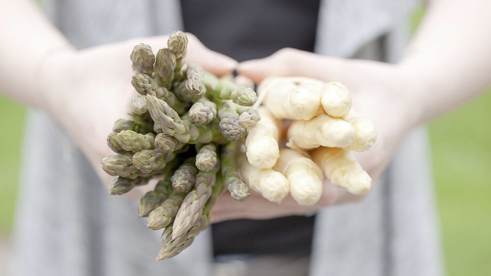 Die Hände voller Spargel, den Kopf voller Zubereitungs-Möglichkeiten: Das königliche Gemüse gelingt gedünstet, gekocht, gebraten und gegrillt. Foto: Landgard
