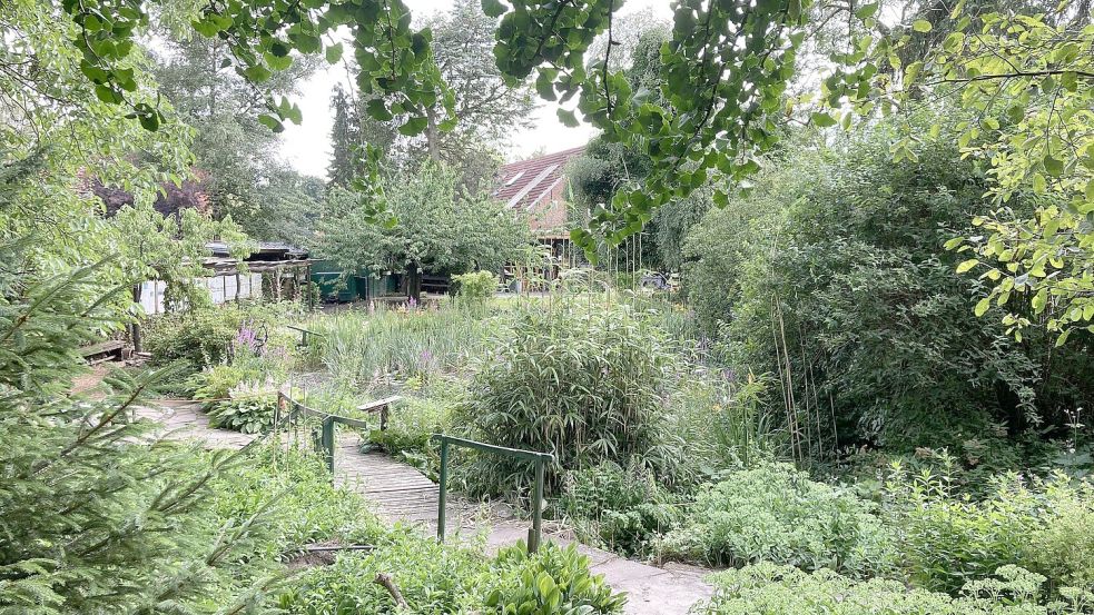 Die Arbeitsgemeinschaft Naturschutz der Verbände NABU, BSH und BUND im nördl. Emsland/südliches Ostfriesland lädt an diesem Sonntag ein zum Sommerfest im Naturschutzzentrum Naschkes Garten in Papenburg. Foto: Veranstalter