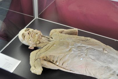 "Echte Körper" in Leer zu sehen - Bild 2