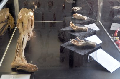 "Echte Körper" in Leer zu sehen - Bild 4