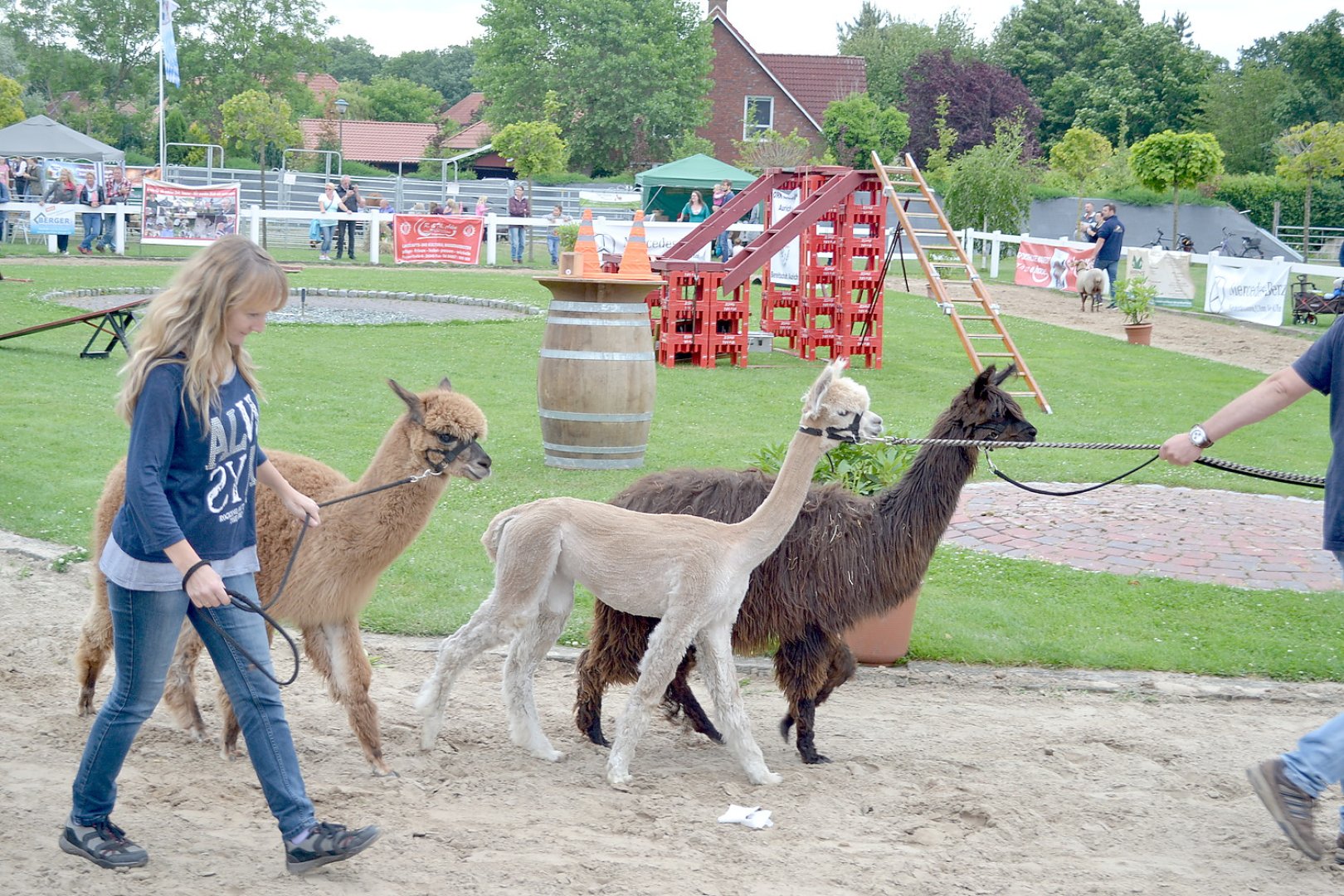 Hunderte Besucher beim Hofspektakel in Filsum - Bild 1