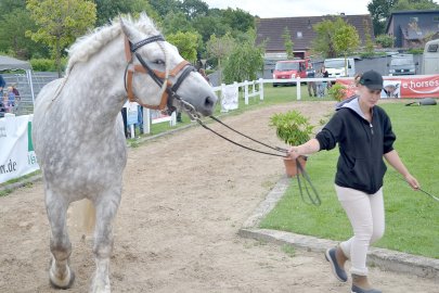 Hunderte Besucher beim Hofspektakel in Filsum - Bild 2
