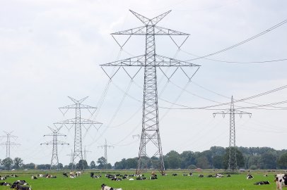 Neuer Anstrich für140 Strommasten - Bild 4