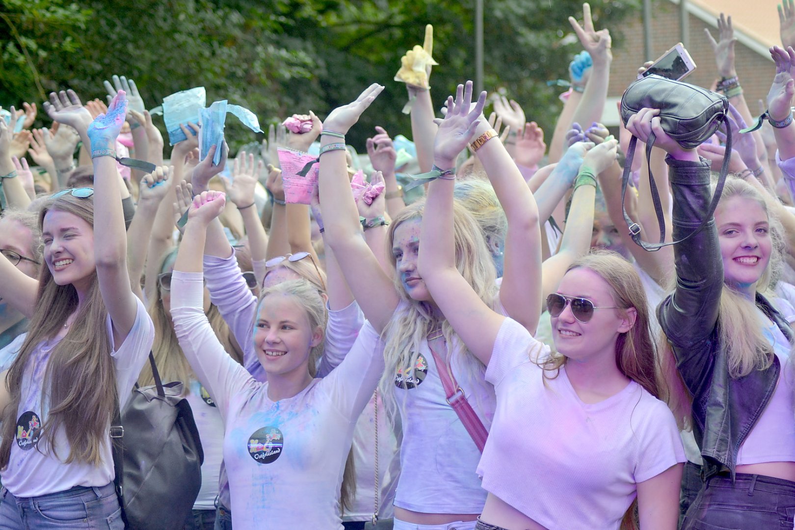 Wieder Holi-Festival in Völlenerkönigsfehn - Bild 1