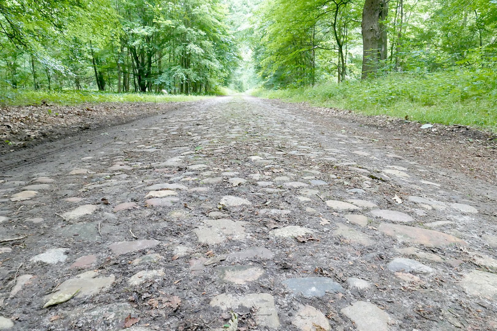 Erinnerungsstätte Wahn im Hümmling - Bild 1