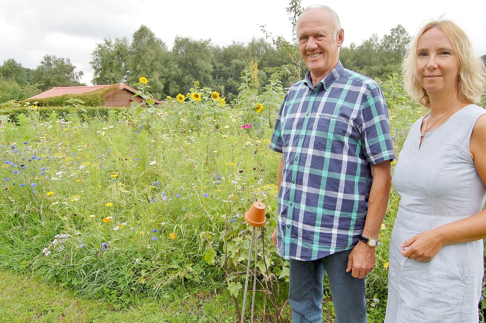 Wildblumenwiese in Burlage - General-Anzeiger