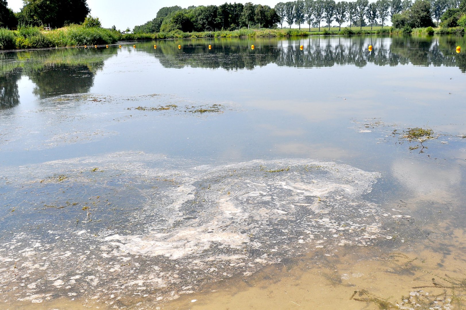 Badesee Völlen: Keine Gülle im Wasser - Bild 1