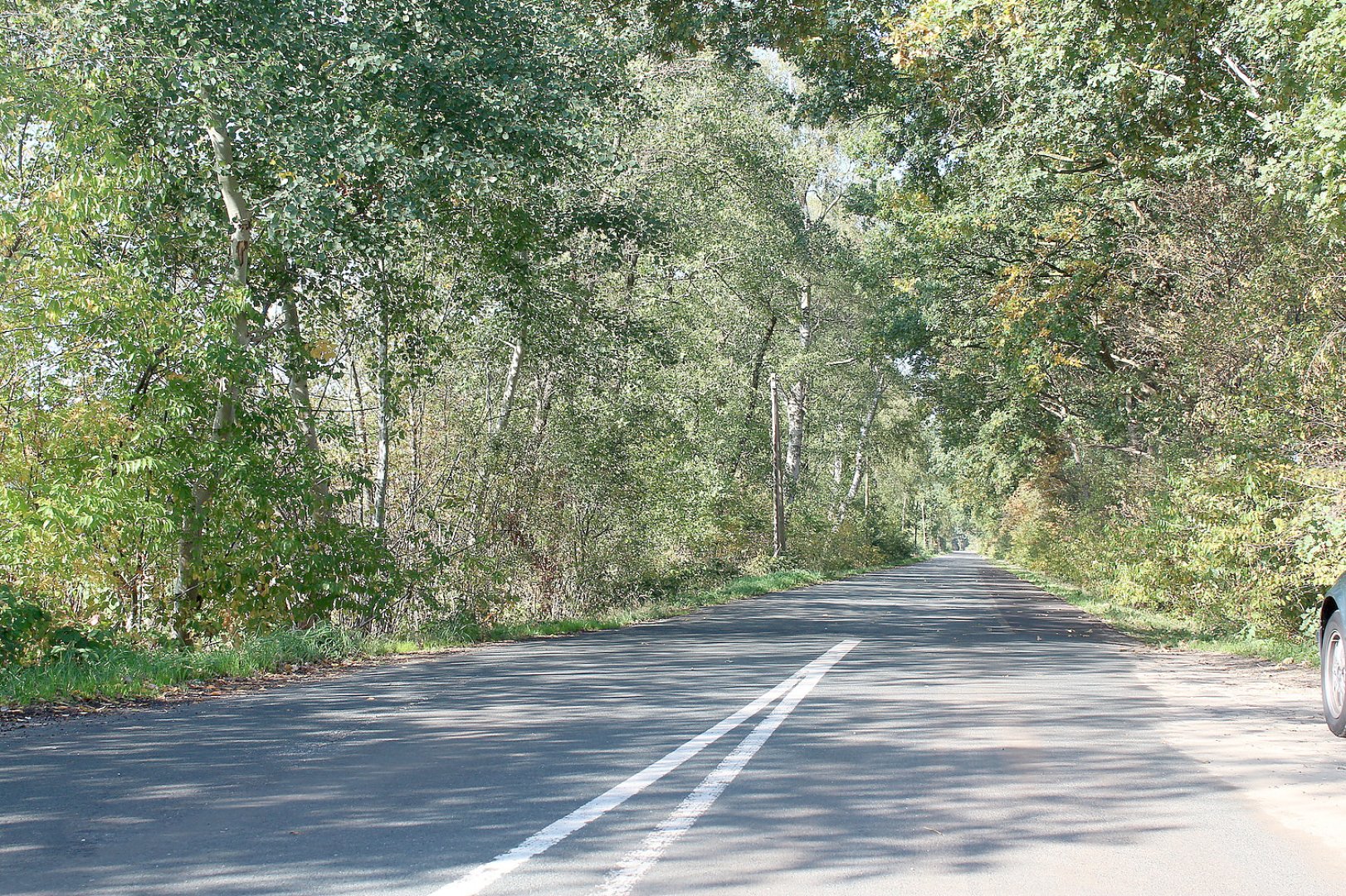 Straßenschäden in der Straße Kammersand - Bild 1
