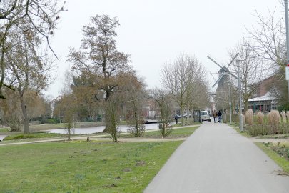 Blumenschau in Papenburg - Bild 3