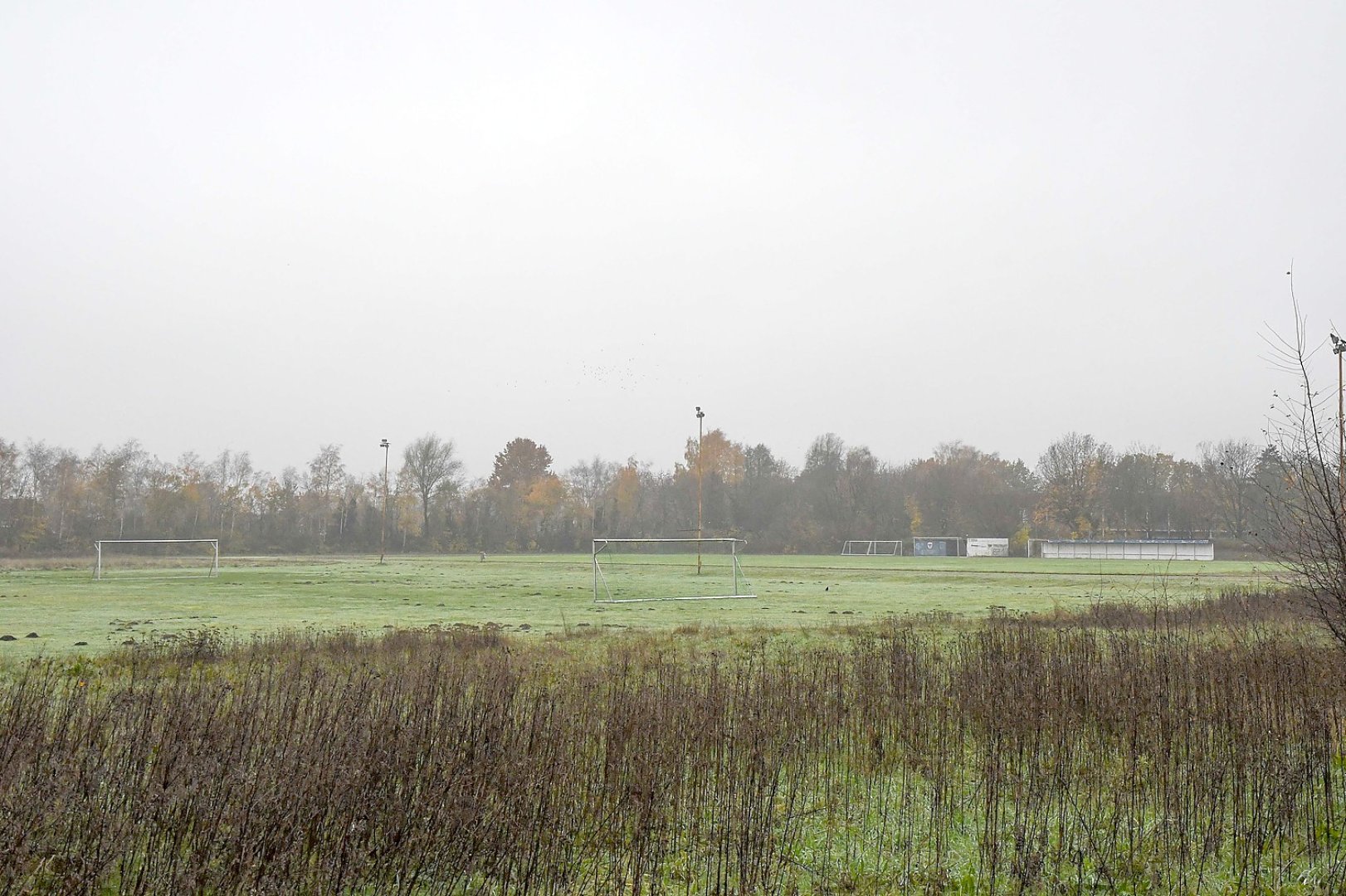 Kunstrasenplatz in Papenburg - Bild 1
