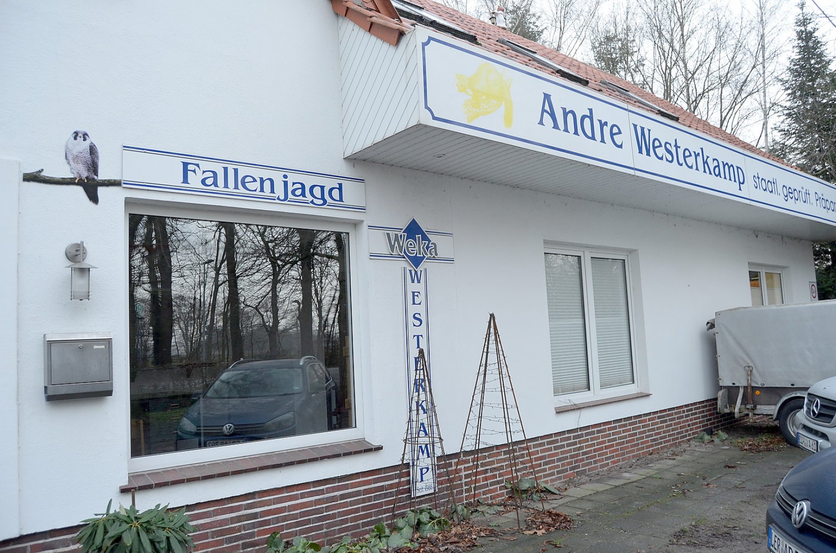Wolf hinterlässt Spuren in der Region - Bild 1