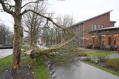 Dutzende Sturm-Einsätze in der Region - Bild 4