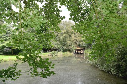 Romantischer Garten mit Parkcharakter - Bild 2