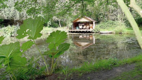 Romantischer Garten mit Parkcharakter - Bild 3