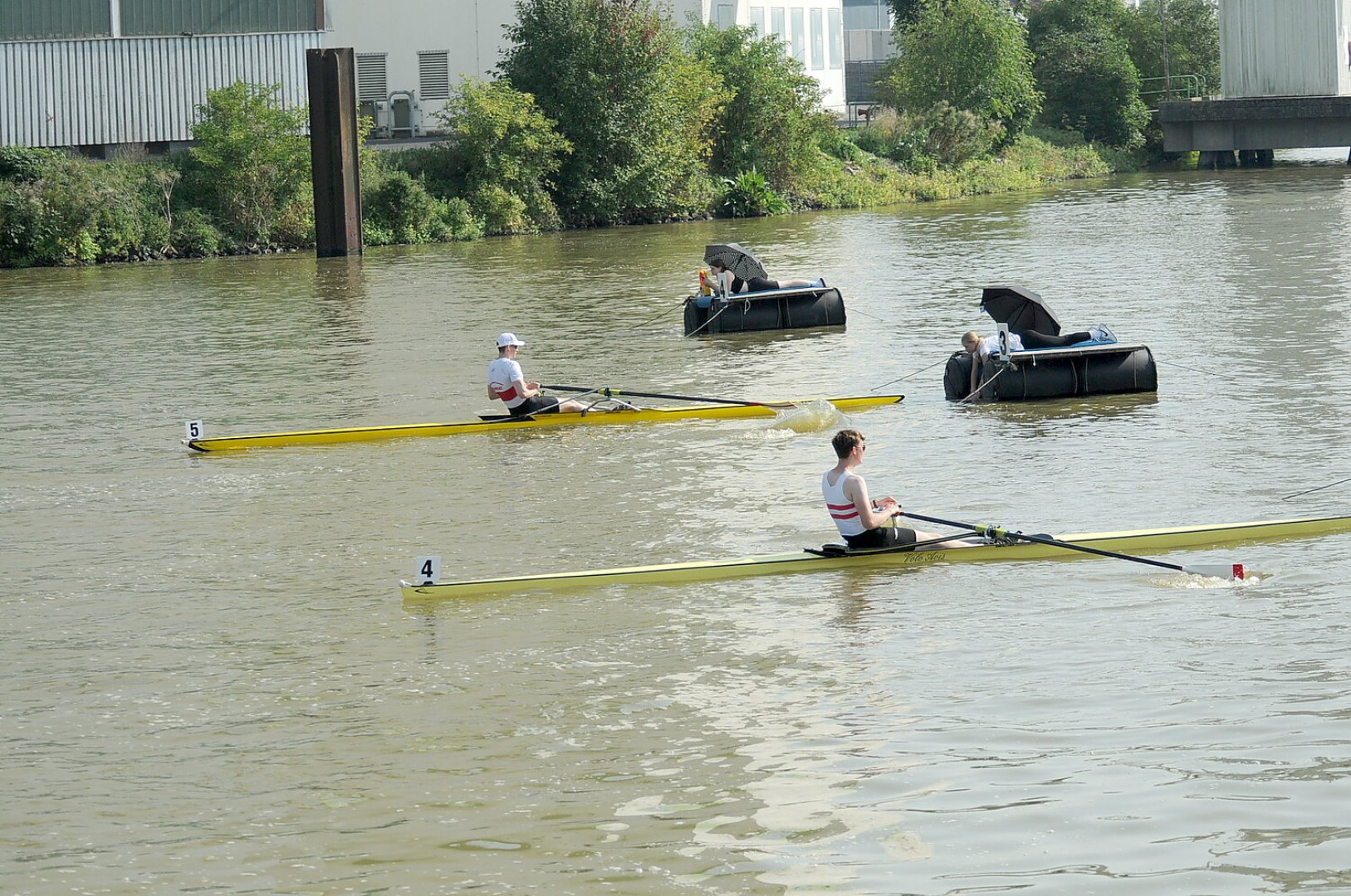 Impressionen von der 81. Ruderregatta Leer - Bild 1