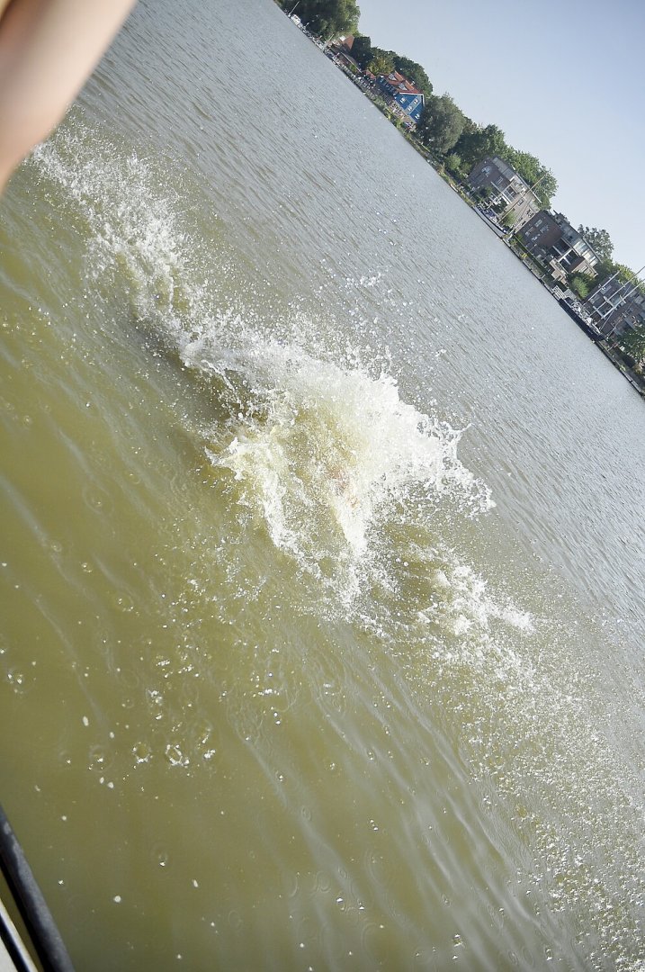 Impressionen von der 81. Ruderregatta Leer - Bild 13