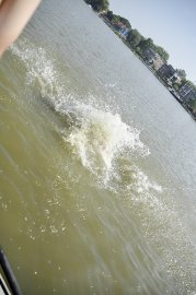 Impressionen von der 81. Ruderregatta Leer - Bild 13