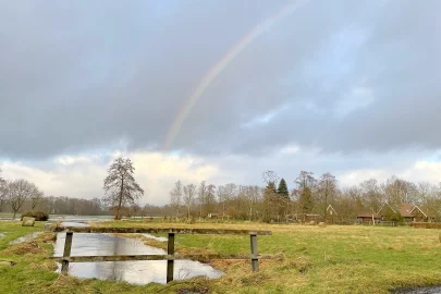 Hochwasser in Langholt - Bild 14