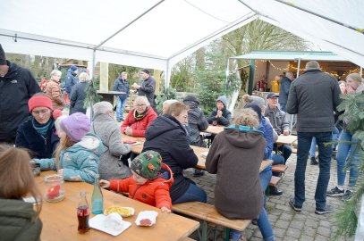 Speckendicken in Rhaude und Backemoor - Bild 30