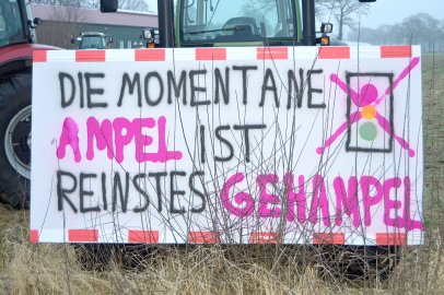 Bauernprotest in Großwolde - Bild 18