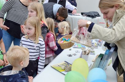 Brückenneubau in Remels - Bild 6