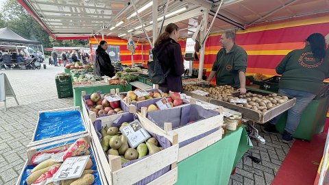 Erster Nachmittagsmarkt in Remels - Bild 4