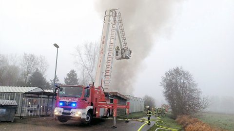 Feuer in Gärtnerei in Diele - Bild 2