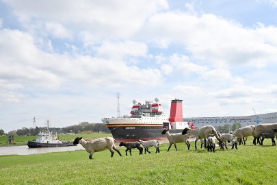 Überführung der „Meteor IV“ der Meyer Werft - Bild 3