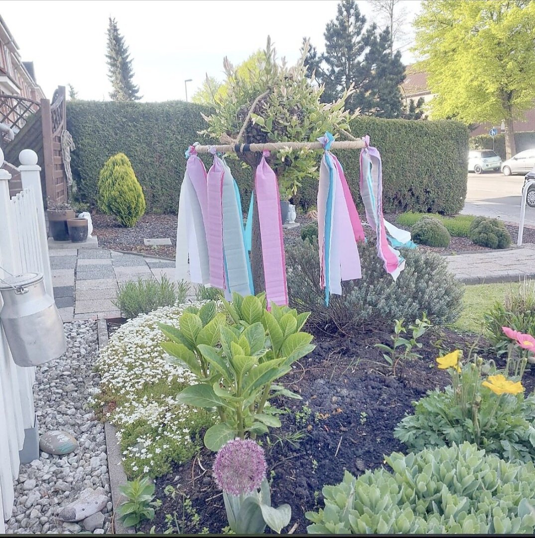 Maibäume – das sind die schönsten Bilder aus Ostfriesland - Bild 2