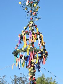 Maibäume – das sind die schönsten Bilder aus Ostfriesland - Bild 13