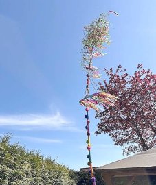 Maibäume – das sind die schönsten Bilder aus Ostfriesland - Bild 18