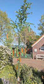 Maibäume – das sind die schönsten Bilder aus Ostfriesland - Bild 19