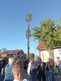 Maibäume – das sind die schönsten Bilder aus Ostfriesland - Bild 51