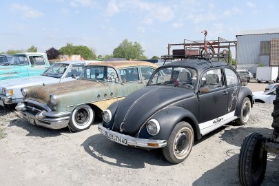 Schollentage in Oldersum - Bild 4