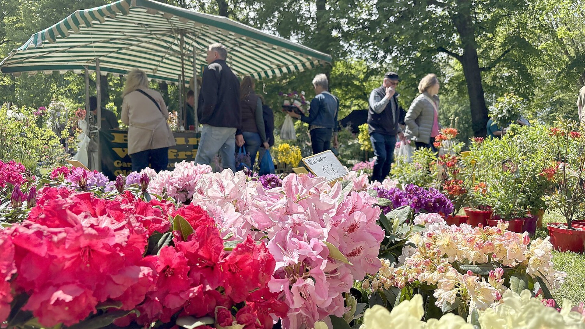 Frühlingsmarkt bei der Evenburg - Bild 1