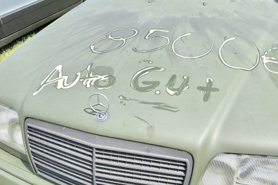 Riesiges Oldtimertreffen in Bockhorn lockt Tausende  - Bild 4