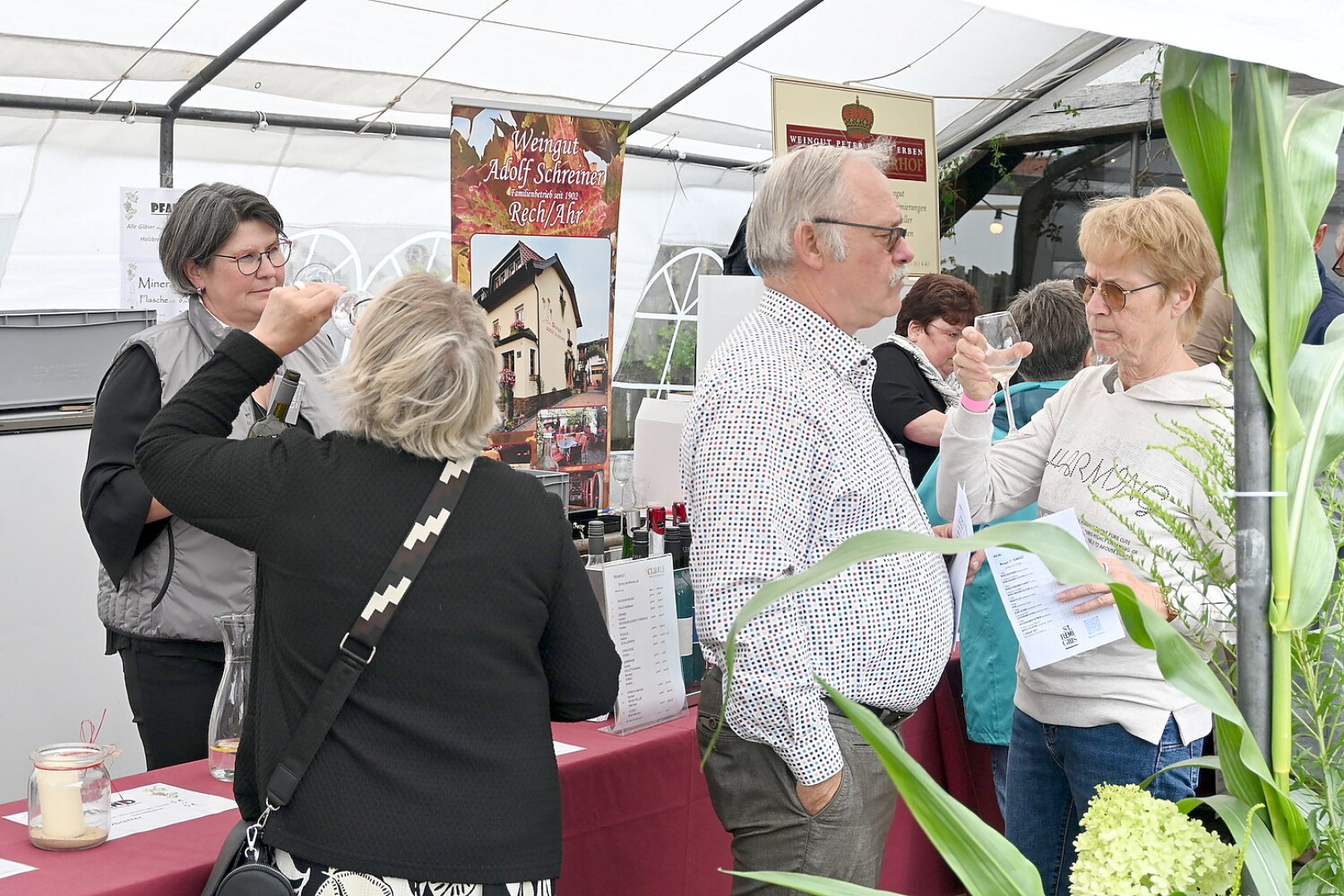 Weinfest in Holte - Bild 2