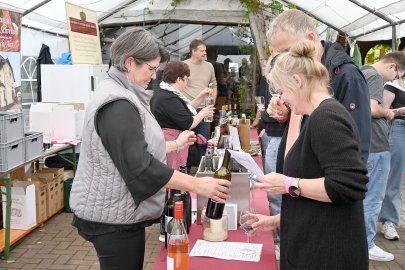 Weinfest in Holte - Bild 12