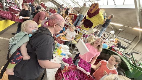 Bildergalerie vom Blütenstecken für den Korso in Wiesmoor - Bild 2