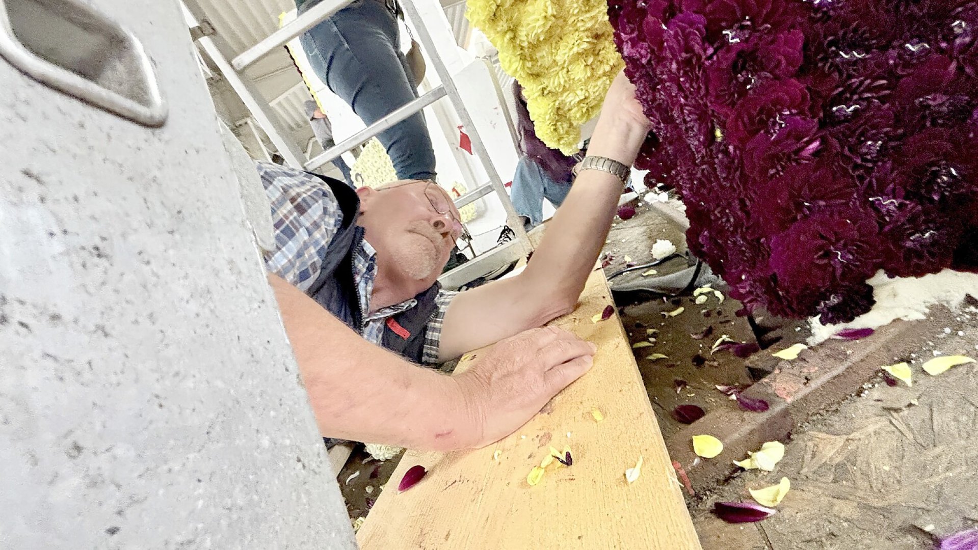 Bildergalerie vom Blütenstecken für den Korso in Wiesmoor - Bild 3