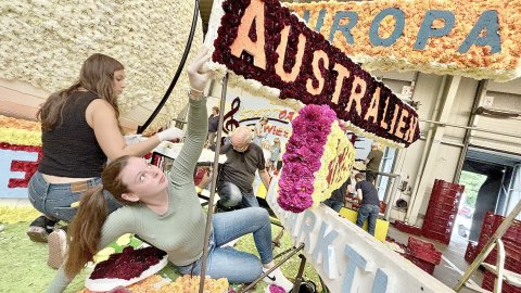 Bildergalerie vom Blütenstecken für den Korso in Wiesmoor - Bild 11