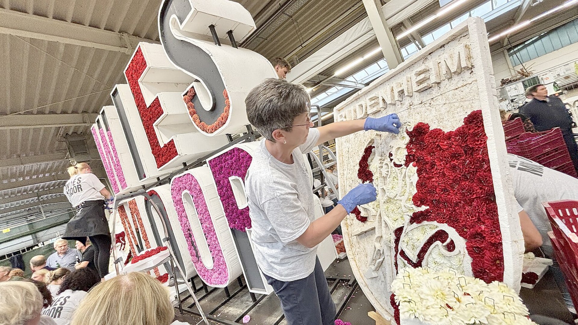Bildergalerie vom Blütenstecken für den Korso in Wiesmoor - Bild 13