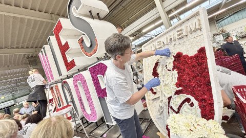 Bildergalerie vom Blütenstecken für den Korso in Wiesmoor - Bild 13