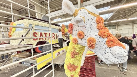 Bildergalerie vom Blütenstecken für den Korso in Wiesmoor - Bild 16