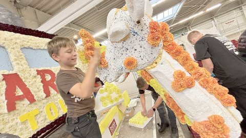 Bildergalerie vom Blütenstecken für den Korso in Wiesmoor - Bild 19